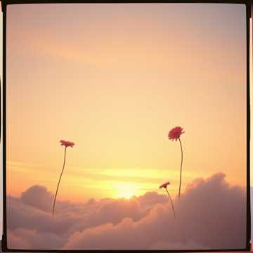 Cover of the song Home to the sky