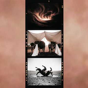 غلاف الاغنية Die letzte Kriegerin (Dschingis Khan) 37 mystic V