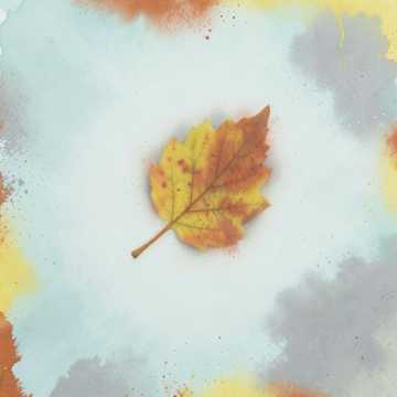 曲のカバー 십일월 2