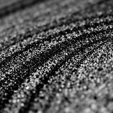 A dal borítója Disznótor