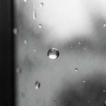 Cover art for Signal in the Rain — Piano Arrangement