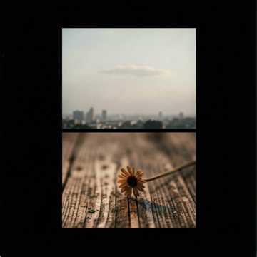 노래 표지 6 de Septiembre
