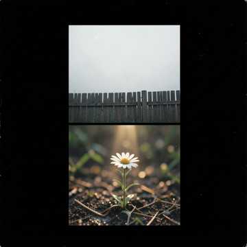 Copertina della canzone a zacinto