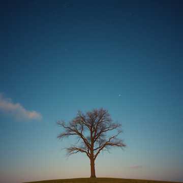 曲のカバー هُوَ واحْد الإنسان