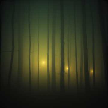歌曲的封面Shadows Within
