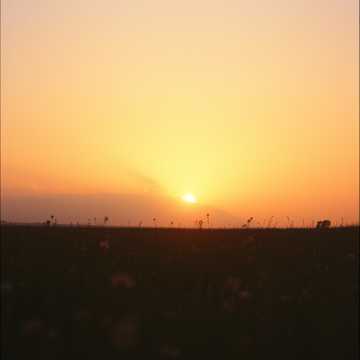 Cover of the song Сонячна ти, моя сестра