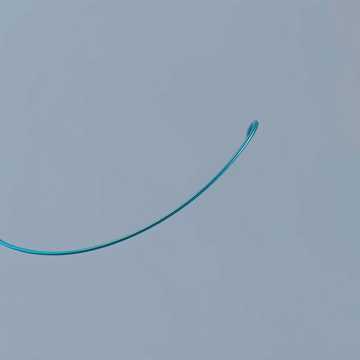 Capa da música Exam oral