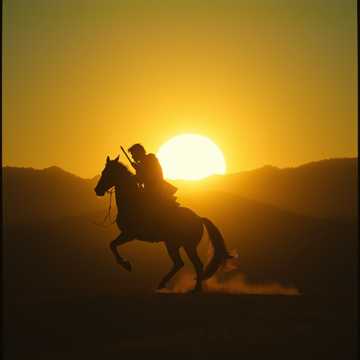 Copertina della canzone Die letzte Kriegerin (Brautschau) Teil 2 VII