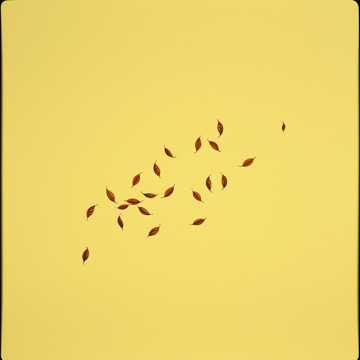 노래 표지 The Wind's Betrayal