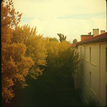 Cover des Liedes Моя почка в Киеве