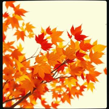 Cover of the song En el otoño de mi vida