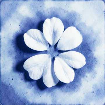 歌曲的封面6 Лєра