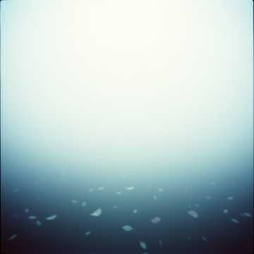 Couverture de la chanson 无奈朝来寒雨晚来风