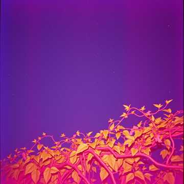 คัฟเวอร์เพลง Алла и Рома: Десять Лет