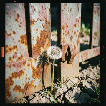 Cover of the song Rust on the Gate