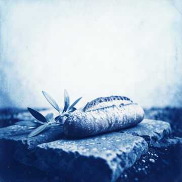 Cover of the song من عقرب للقلوب