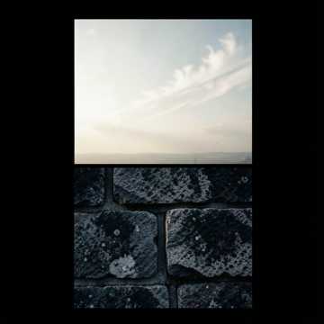 Cover of the song admin