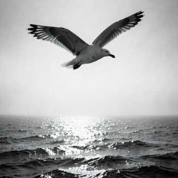Cover of the song Я выбираю себя
