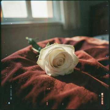 Cover of the song Music