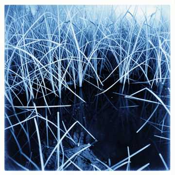 Cover of the song Mørk sump