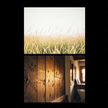 Cover of the song Andor és Mira