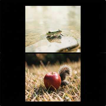 Cover of the song Hopp