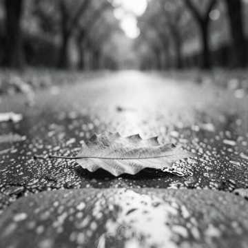 Cover of the song GDYBY TAK JESZCZE