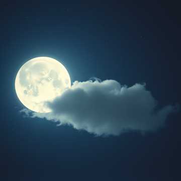 غلاف الاغنية МОЙ НОЧНОЙ ГЕРОЙ