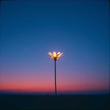 Copertina della canzone Érted létezzem