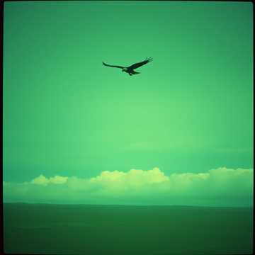 Copertina della canzone Шр 1 ПДБ