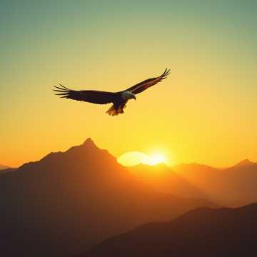 Cover of the song ذكرى نوفمبر