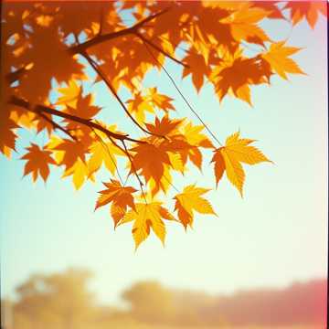 Cover of the song Танцуют листья на ветру