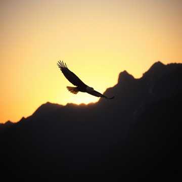 曲のカバー Ismael Espinoza