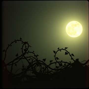 Cover des Liedes Секс вдвоём