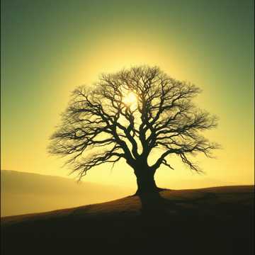 Portada de la canción 915 Я Жива Страж Рая Врат Лилит 13 Сефирота