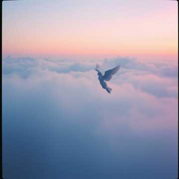 歌曲的封面A Mennyből az angyal