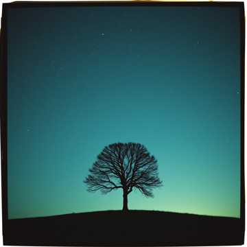 Кавер на песню Тусауынды кесейін