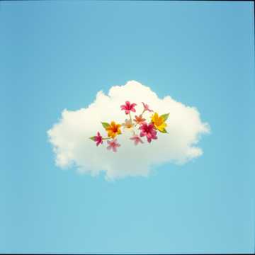 Copertina della canzone qw