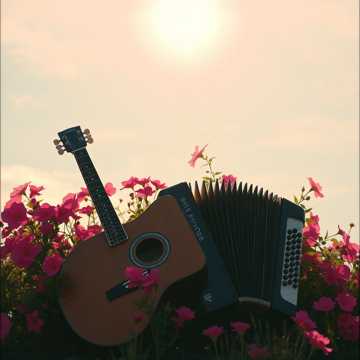 Cover utworu Corazón Errante