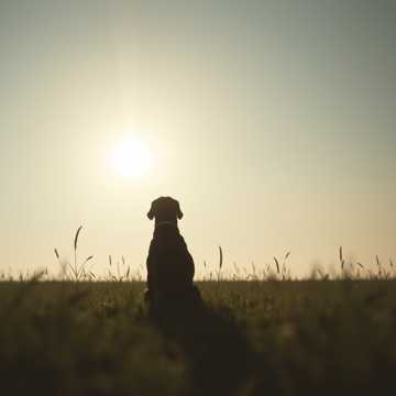 歌曲的封面a kira