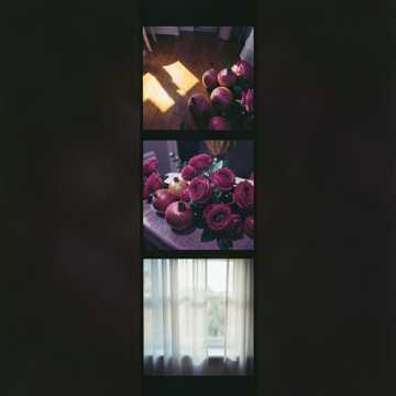 Cover of the song توتة