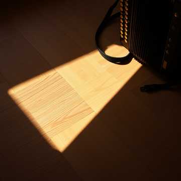 Portada de la canción Hully gully Ritmo della Mattonella