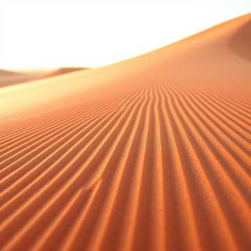 คัฟเวอร์เพลง Die letzte Kriegerin (Königin Dido von Karthago) Symphonic Rock