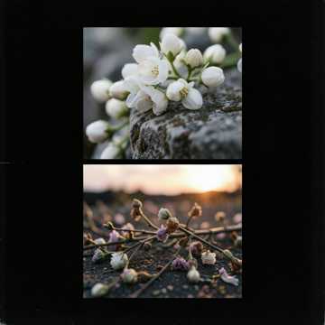 Cover av låten m