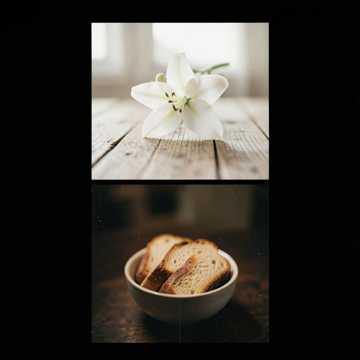 歌曲的封面DIA DOS PAIS