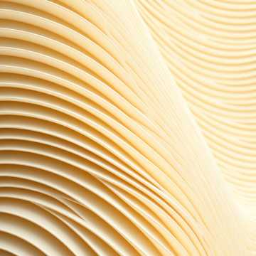 غلاف الاغنية Taniec Złotego Zmierzchu