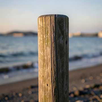 Cover of the song Шестьдесят — и сердце юное