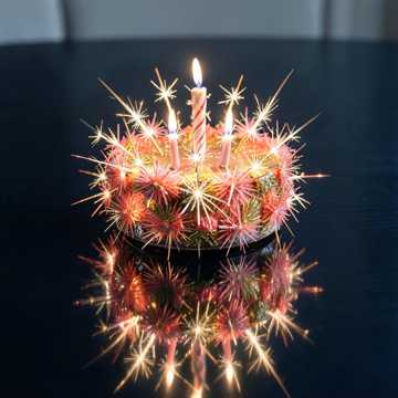 歌曲的封面Negyven Tűzszikra