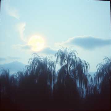 Cover of the song 月亮
