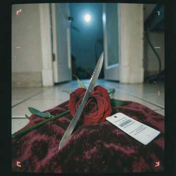 歌曲的封面those red roses with metallic daggers